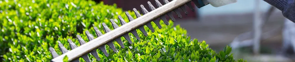 Reliable landscape installation in Grand Rapids, MI - Next Phase Lawncare