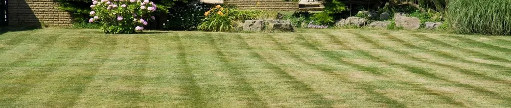 Top-rated outdoor landscaping in Grand Rapids, MI by Next Phase Lawncare