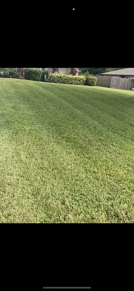 Top-rated landscape design for year-round maintenance across Winter Haven, FL - Next Phase Outdoor