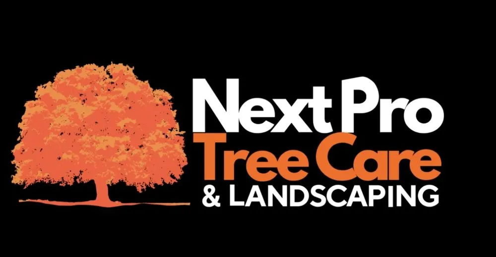 Top-rated lawn care service in Roswell, GA - Next Pro Tree Care & Landscaping