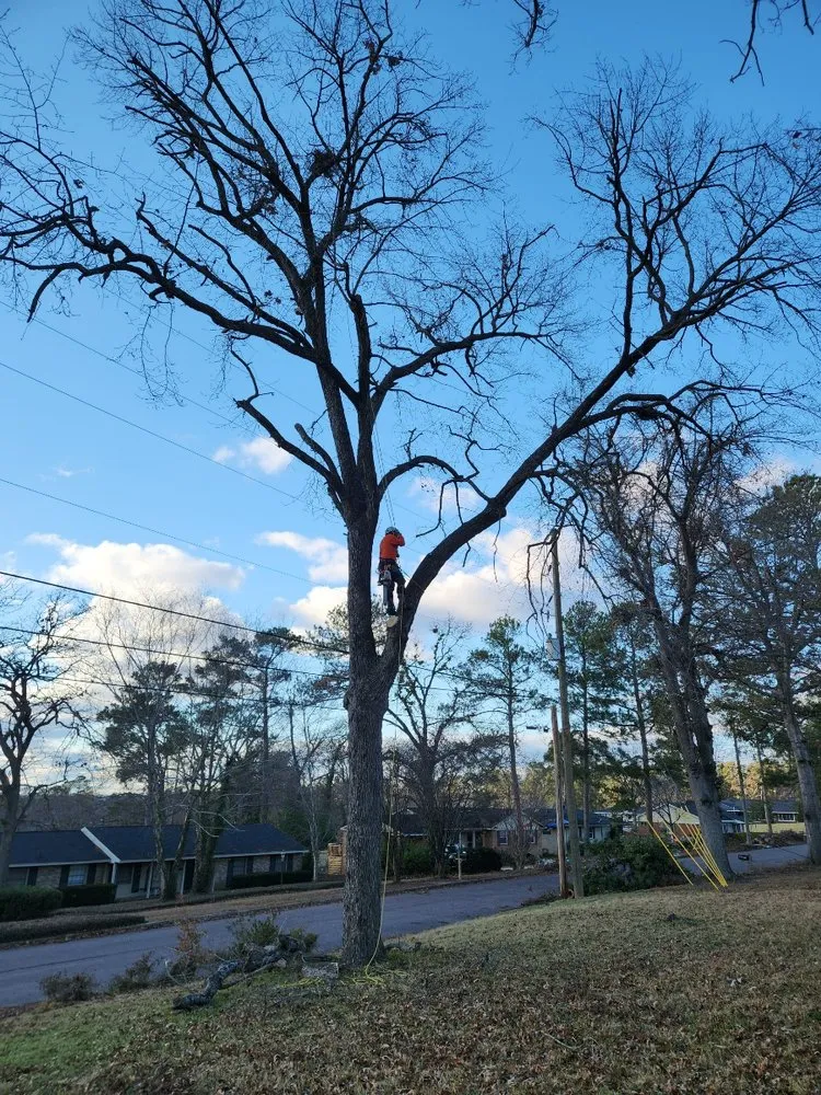 Local lawn care service in Roswell, GA by Next Pro Tree Care & Landscaping