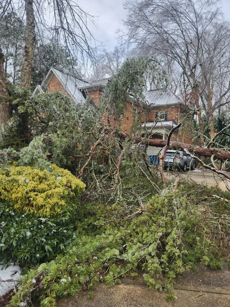 Expert landscaping services in Roswell, GA - Next Pro Tree Care & Landscaping