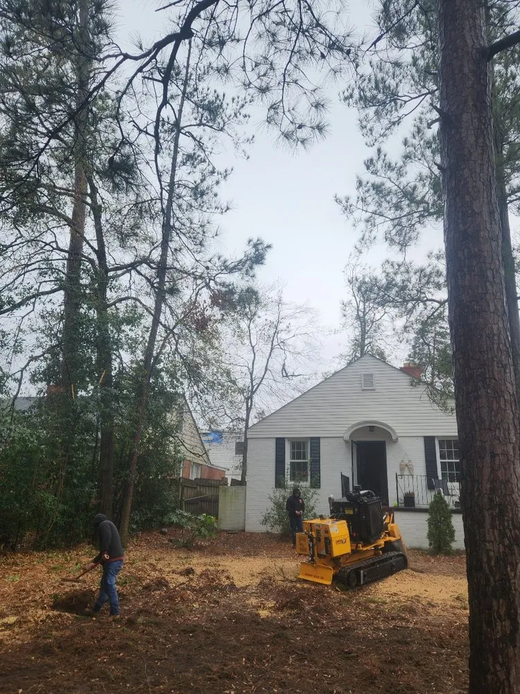 Expert lawn mowing service for outdoor upgrades in Roswell, GA by Next Pro Tree Care & Landscaping