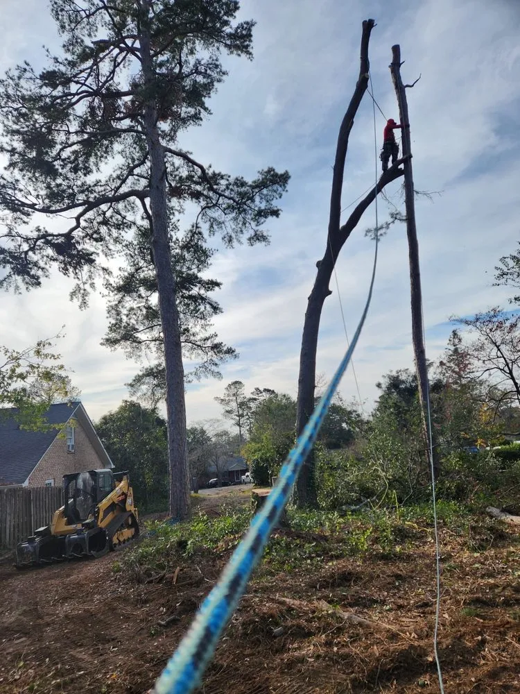 Affordable lawn care service for residential properties in Roswell, GA by Next Pro Tree Care & Landscaping