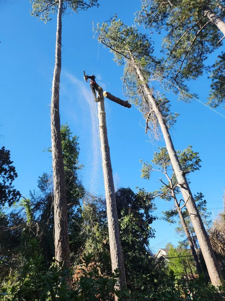 Reliable yard cleanup service in Roswell, GA by Next Pro Tree Care & Landscaping