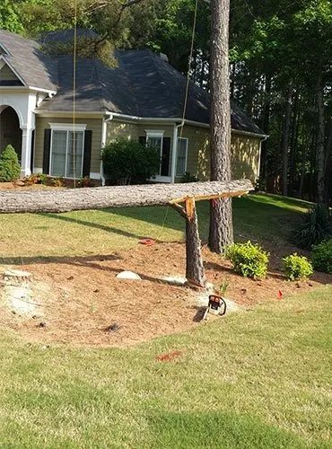 Professional yard cleanup service for year-round maintenance in Roswell, GA by Next Pro Tree Care & Landscaping