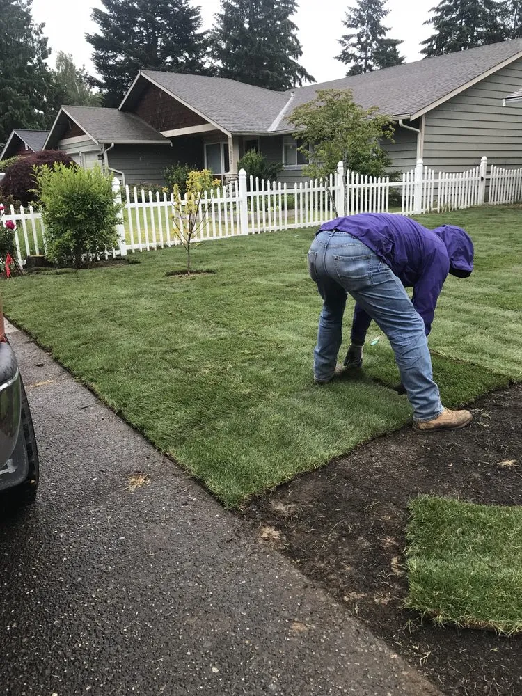 Trusted lawn care service experts serving Seattle, WA - Next Step Landscaping