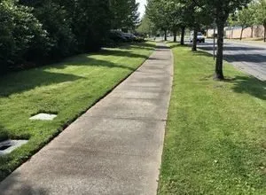 Trusted residential landscaping for outdoor upgrades across Seattle, WA - Next Step Landscaping