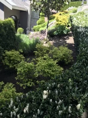 Top-rated yard cleanup service in Seattle, WA by Next Step Landscaping