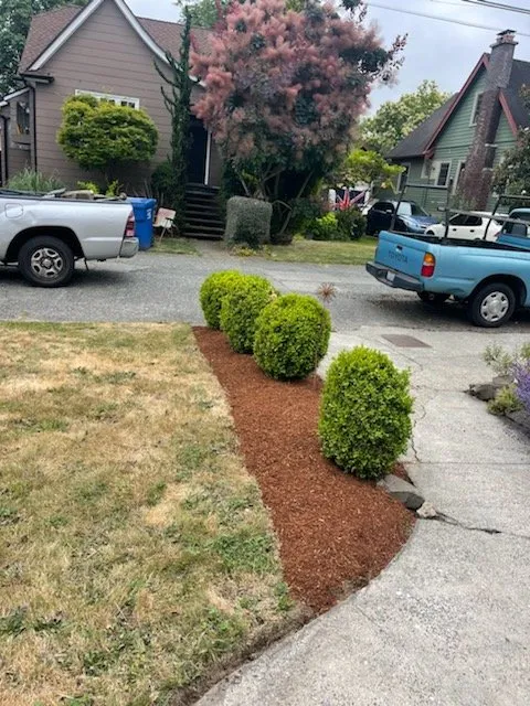 Trusted landscape design for year-round maintenance in Seattle, WA by Next Step Landscaping