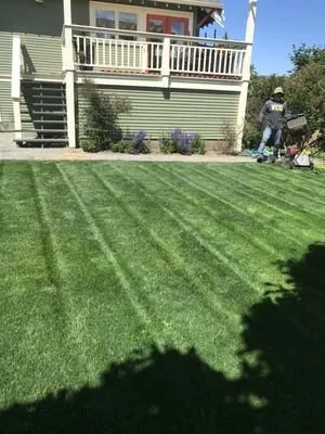 Custom lawn mowing service for outdoor upgrades across Seattle, WA - Next Step Landscaping