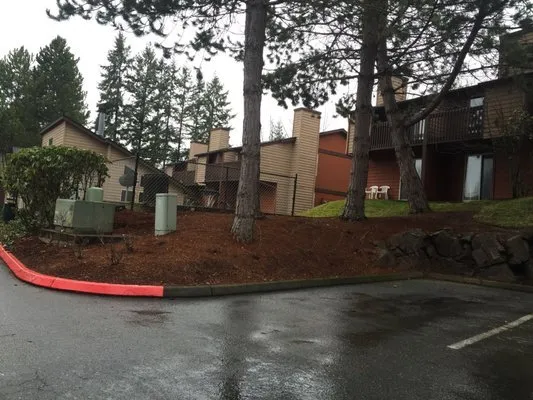 Custom outdoor landscaping in Seattle, WA - Next Step Landscaping