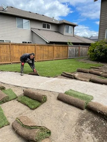 Affordable yard cleanup service for beautiful yards in Seattle, WA by Next Step Landscaping
