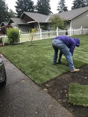 Reliable lawn care service near you across Seattle, WA - Next Step Landscaping