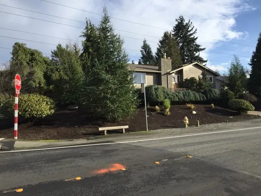Custom yard maintenance experts serving Seattle, WA - Next Step Landscaping