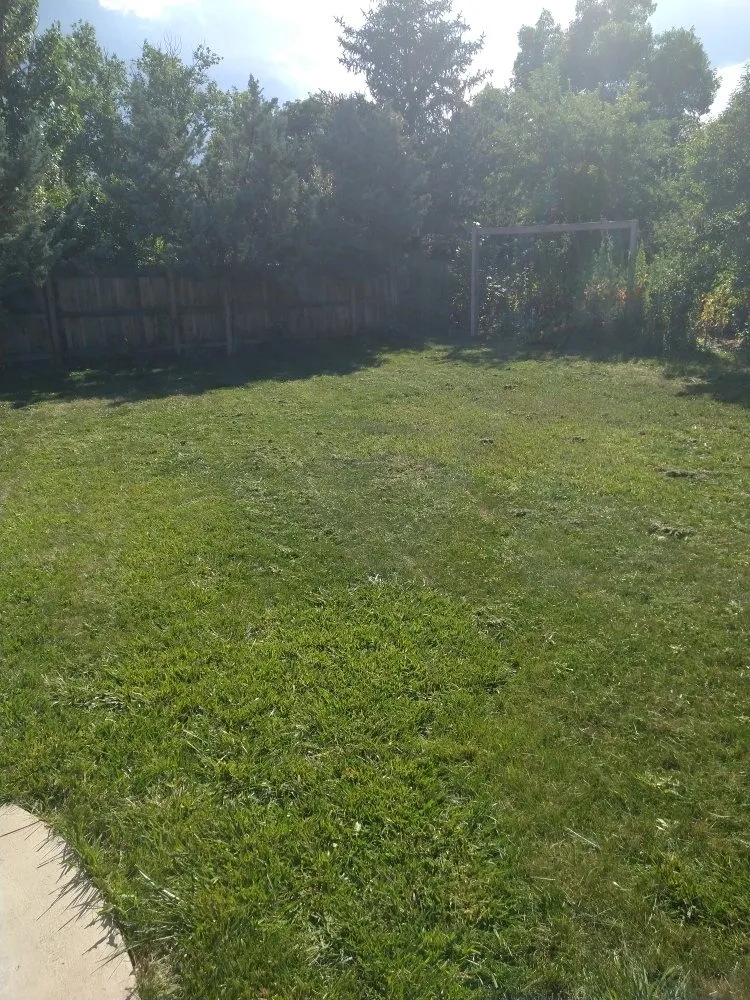 Professional yard maintenance in Johnstown, CO - Next Step Lawn