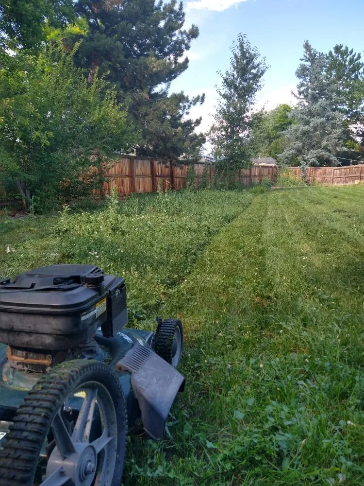 Expert lawn mowing service for homes in Johnstown, CO by Next Step Lawn