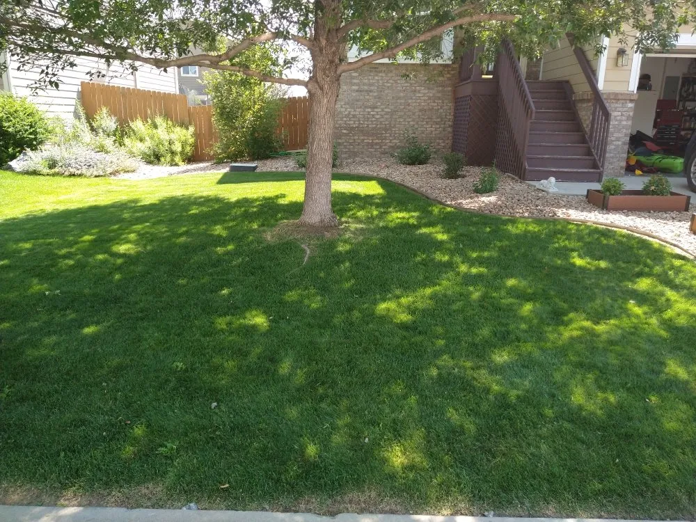 Top-rated residential landscaping in Johnstown, CO by Next Step Lawn