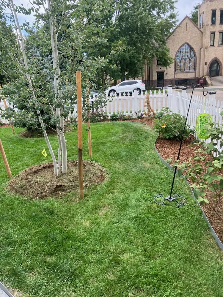Expert yard cleanup service for homes in Johnstown, CO by Next Step Lawn