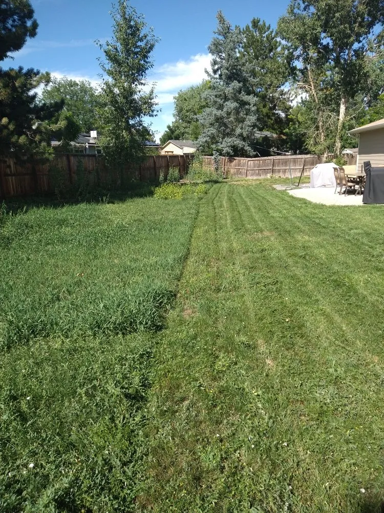 Professional lawn care service in Johnstown, CO by Next Step Lawn