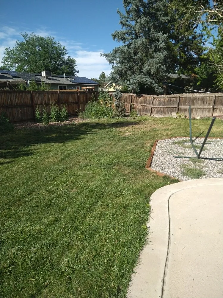 Local lawn mowing service experts serving Johnstown, CO - Next Step Lawn