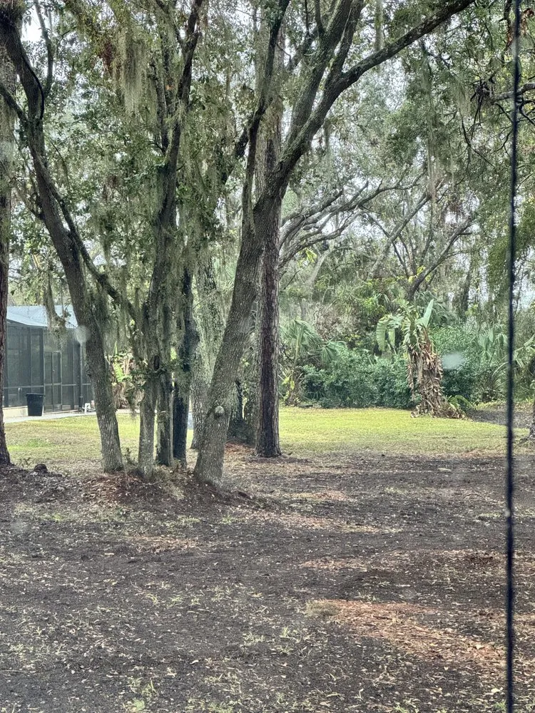 Expert outdoor landscaping in Sun City, FL - Next Tevel Tractor Services