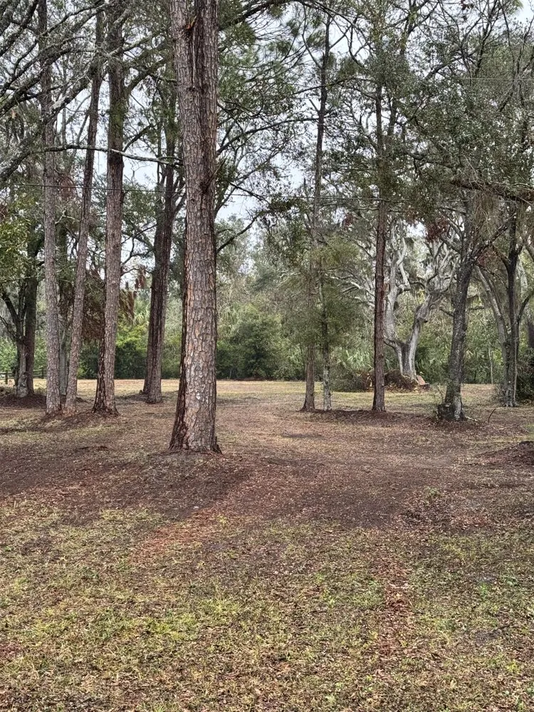 Professional outdoor landscaping experts serving Sun City, FL - Next Tevel Tractor Services