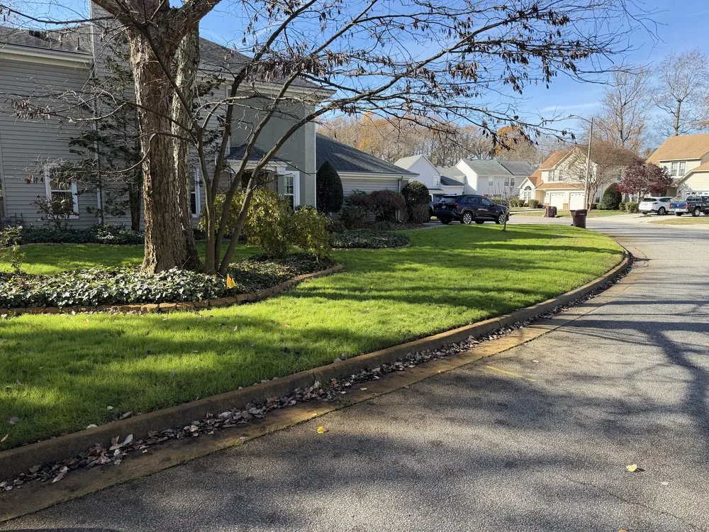 Custom landscape installation in Norfolk, VA - Next Tier Landscaping Service