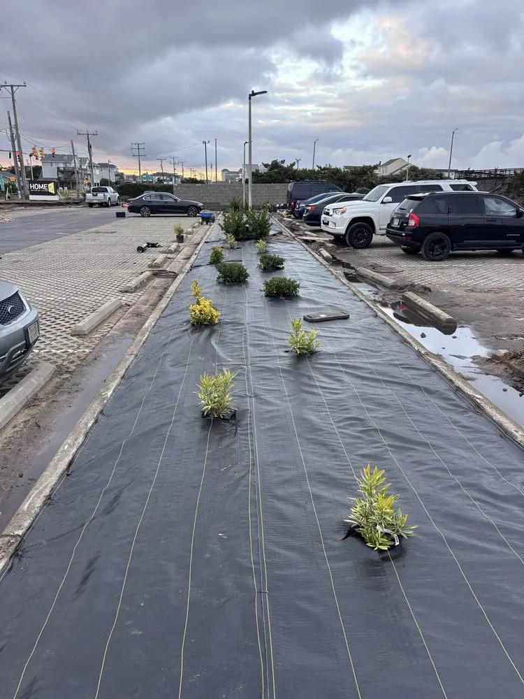 Affordable garden landscaping for year-round maintenance across Norfolk, VA - Next Tier Landscaping Service