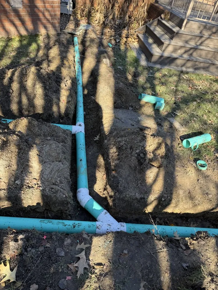 Expert landscape installation for year-round maintenance in Norfolk, VA by Next Tier Landscaping Service