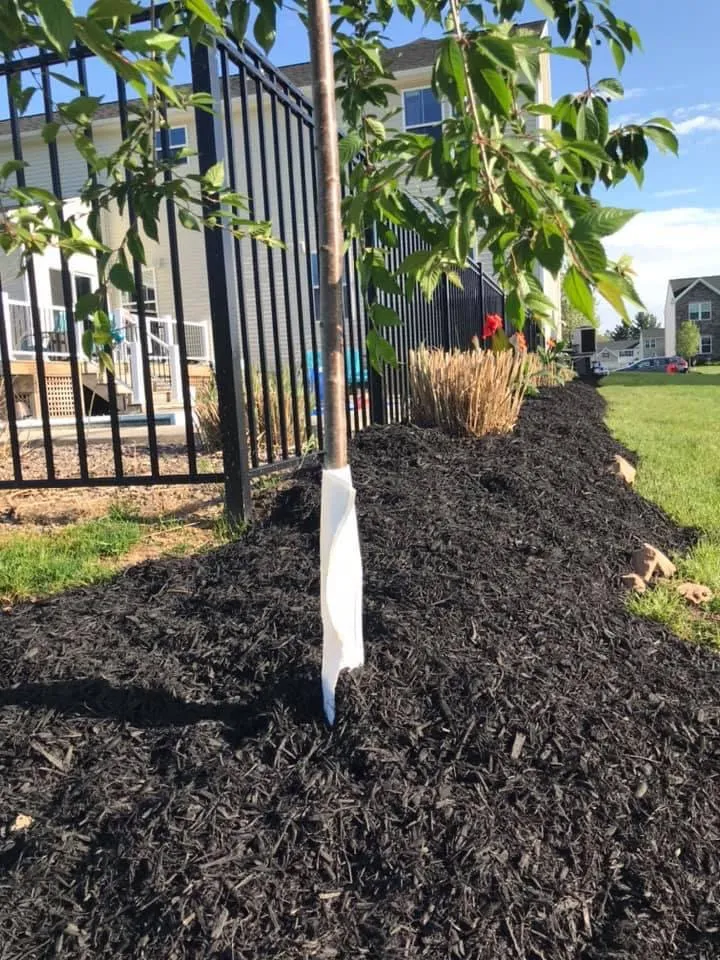 Professional residential landscaping for residential properties across Greece, NY - Next to Eden Lawn & Landscape