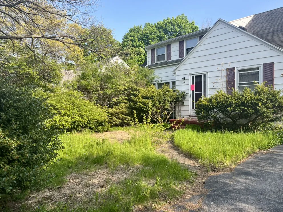 Expert lawn care service experts serving Greece, NY - Next to Eden Lawn & Landscape