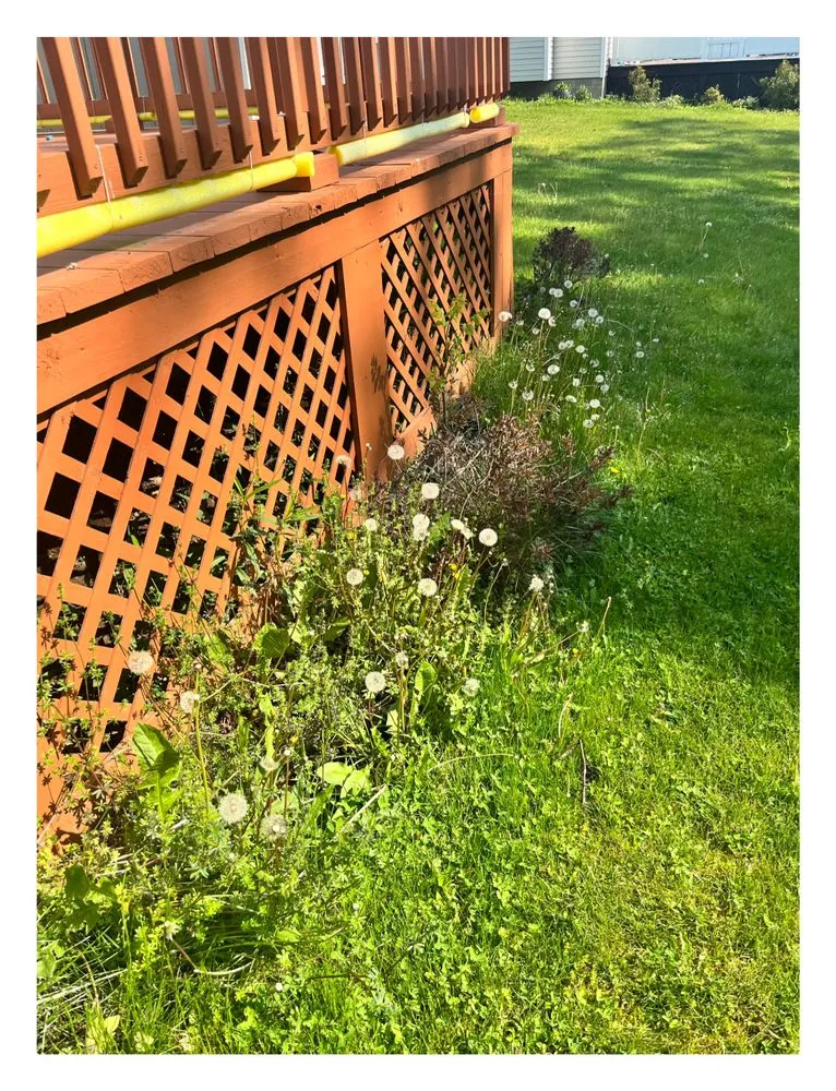 Custom garden landscaping experts serving Greece, NY - Next to Eden Lawn & Landscape