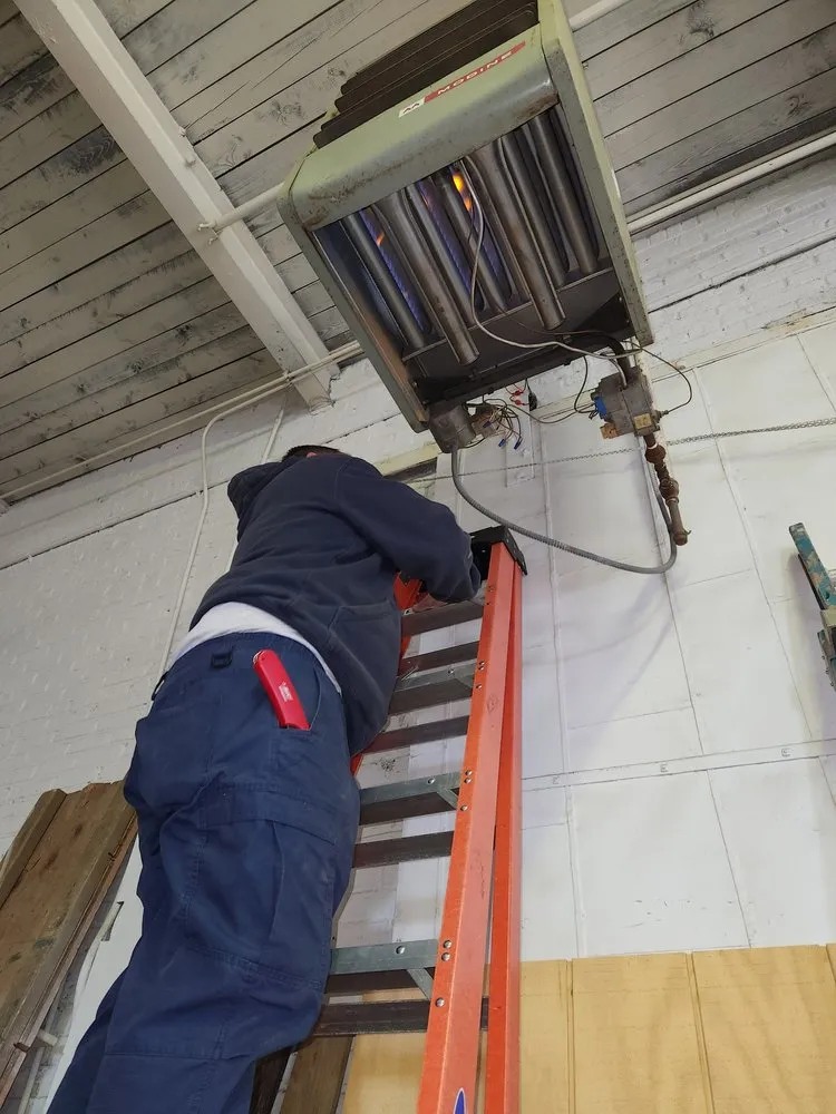 Trusted yard cleanup service in Long Branch, NJ - Next Up