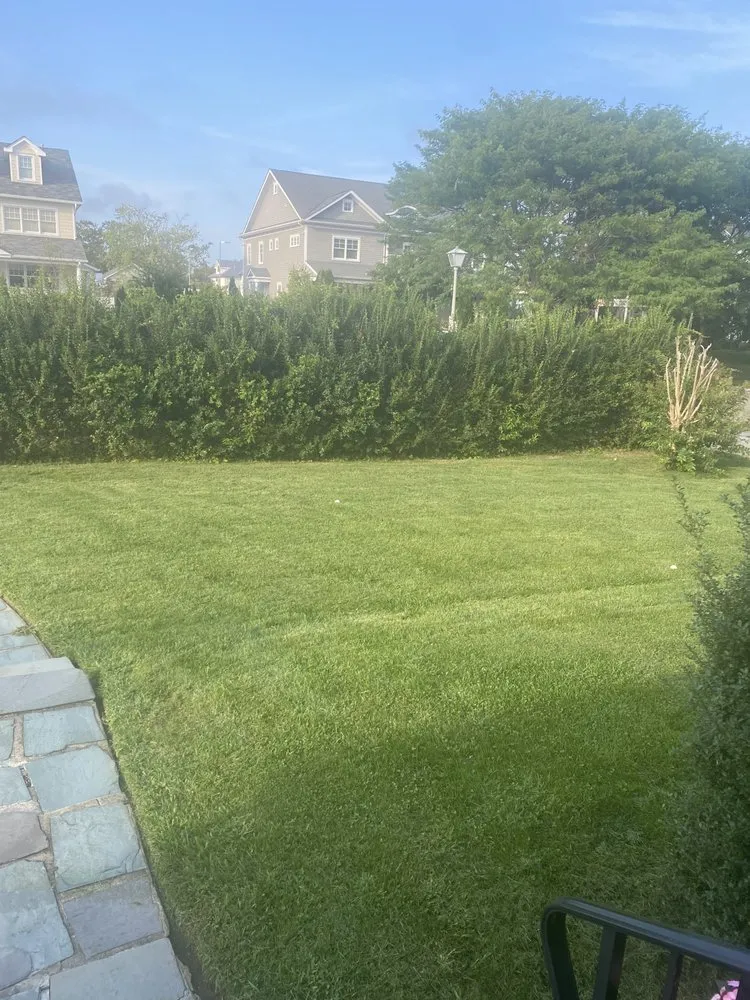 Custom lawn mowing service experts serving Long Branch, NJ - Next Up