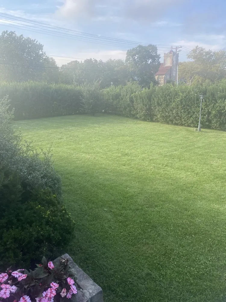 Trusted lawn care service in Long Branch, NJ by Next Up