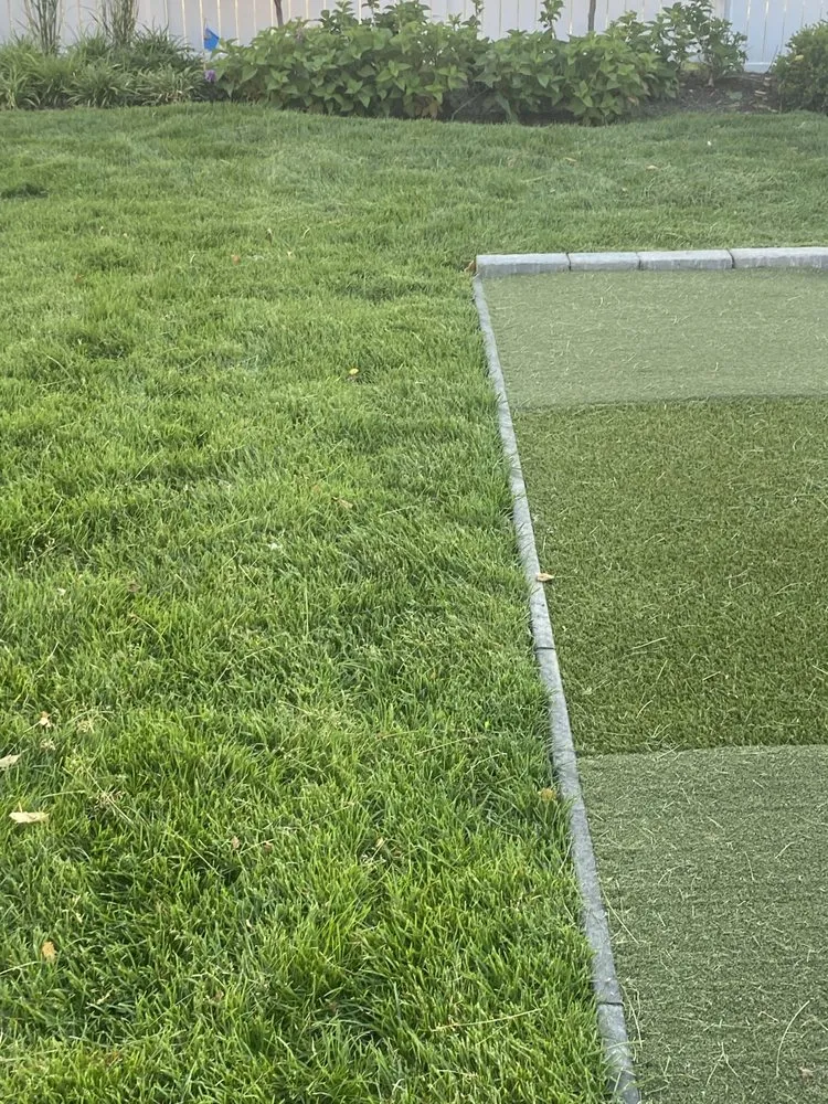 Professional lawn care service in Long Branch, NJ - Next Up