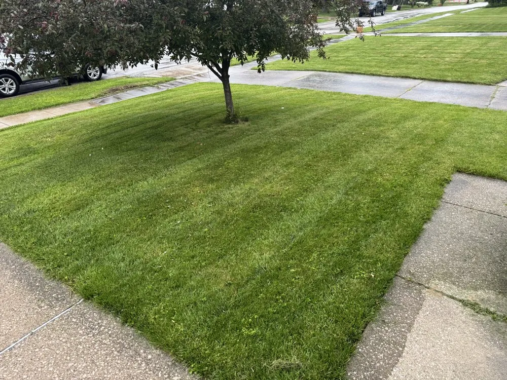 Local outdoor landscaping in Ravenna, OH - Nextcut Landscaping