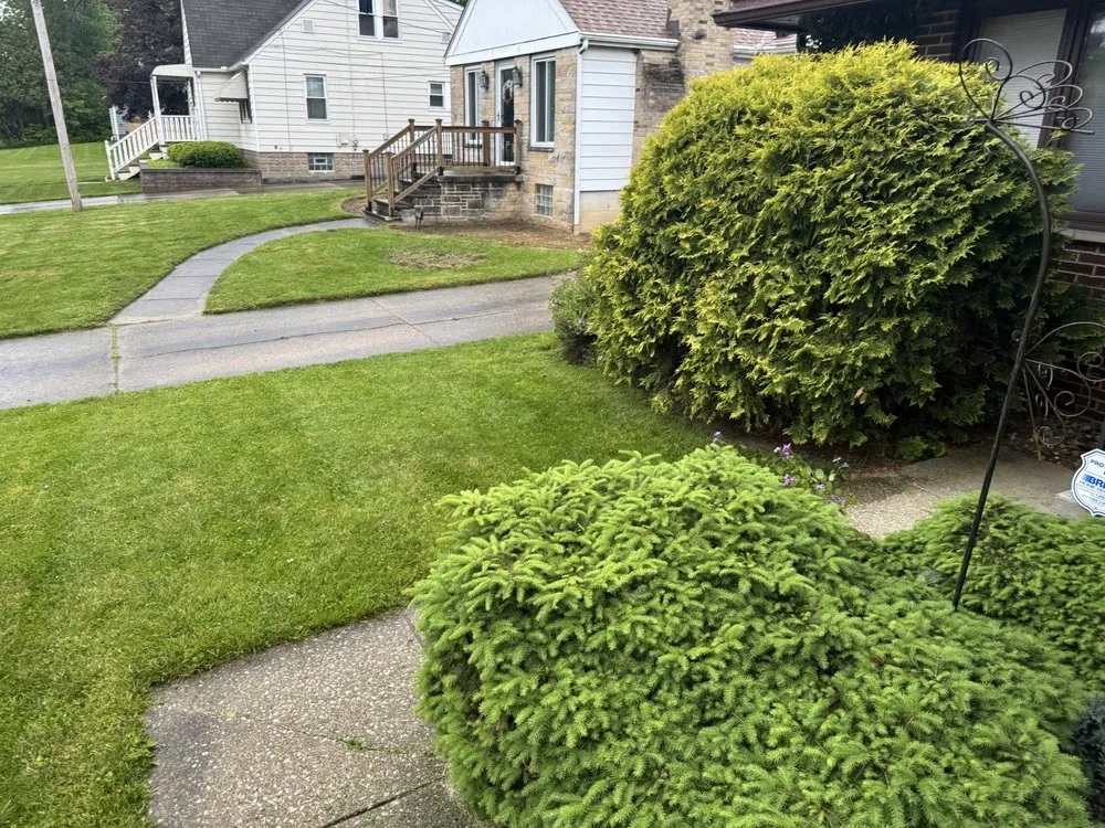Custom lawn mowing service in Ravenna, OH - Nextcut Landscaping