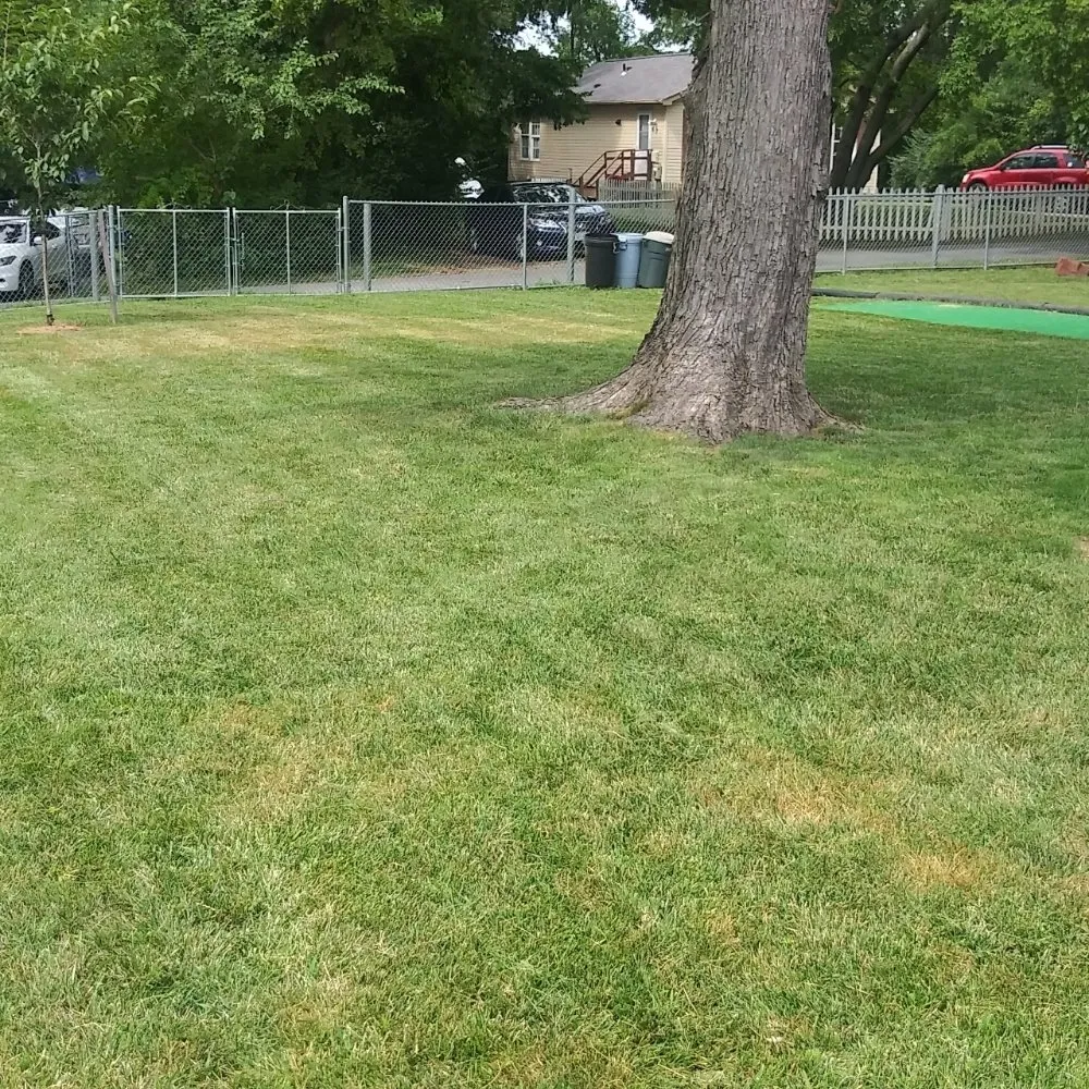 Top-rated landscape installation experts serving Hyattsville, MD - NextDoor