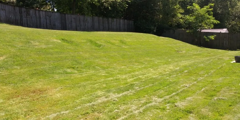 Top-rated landscape installation near you across Hyattsville, MD - NextDoor