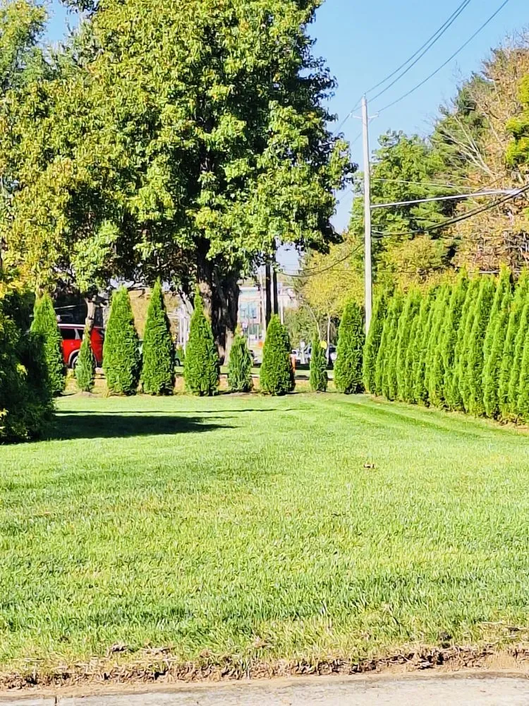 Custom landscaping services in Columbus, OH by Nextdoor Lawn and Landscape