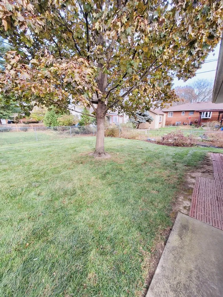 Trusted lawn mowing service for outdoor upgrades in Columbus, OH by Nextdoor Lawn and Landscape