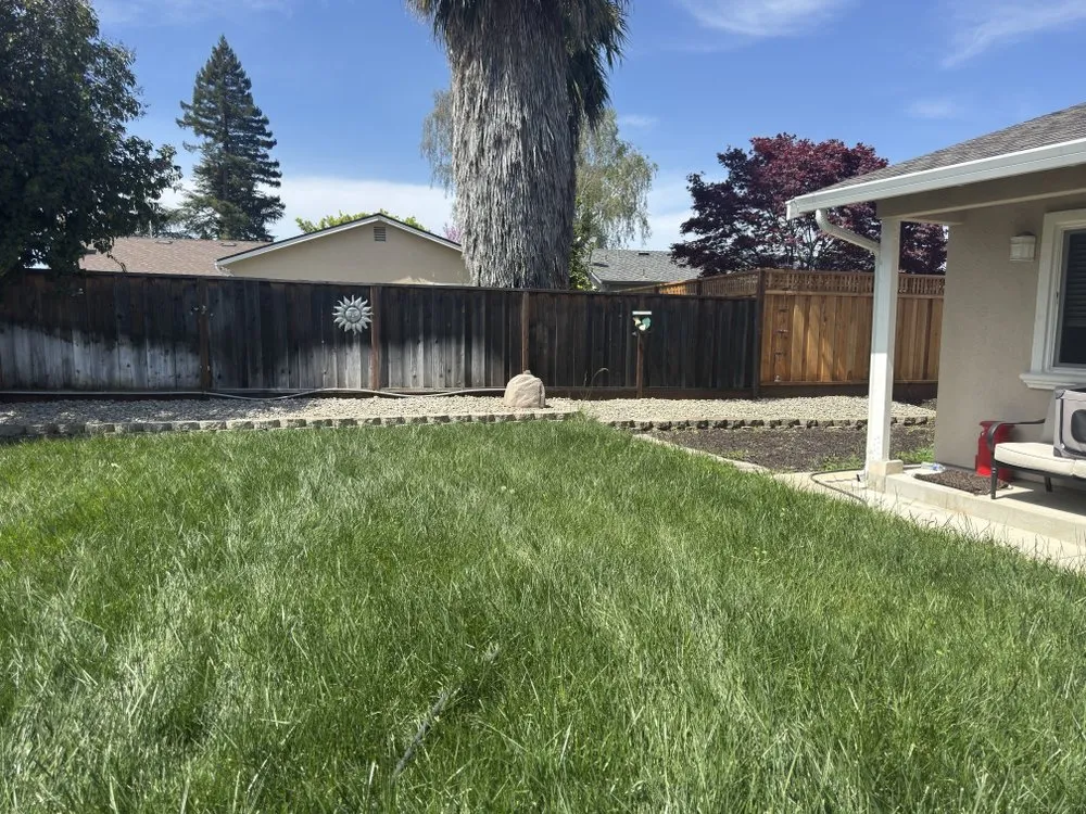 Expert landscaping services in Gilroy, CA by Nextera Landscape Solutions