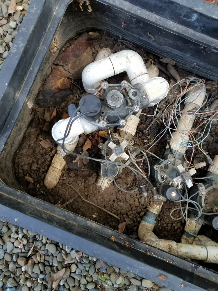 Trusted yard maintenance experts serving Gilroy, CA - Nextera Landscape Solutions