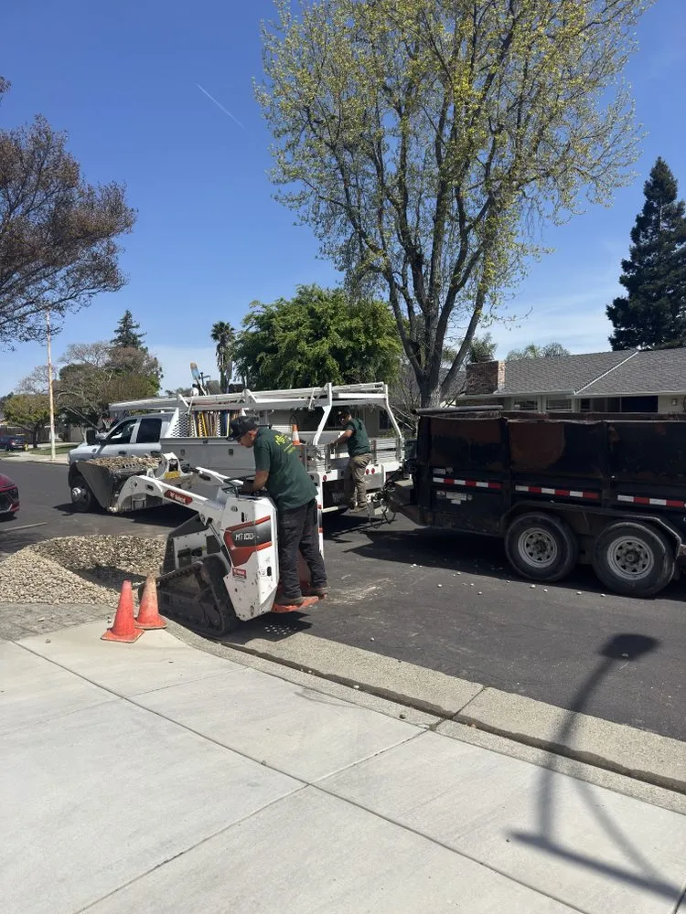 Custom yard cleanup service experts serving Gilroy, CA - Nextera Landscape Solutions