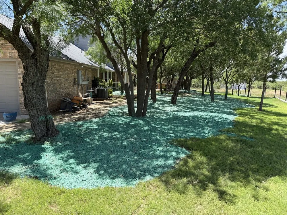 Trusted landscape design with custom design in Lubbock, TX by NexTerra Land Services