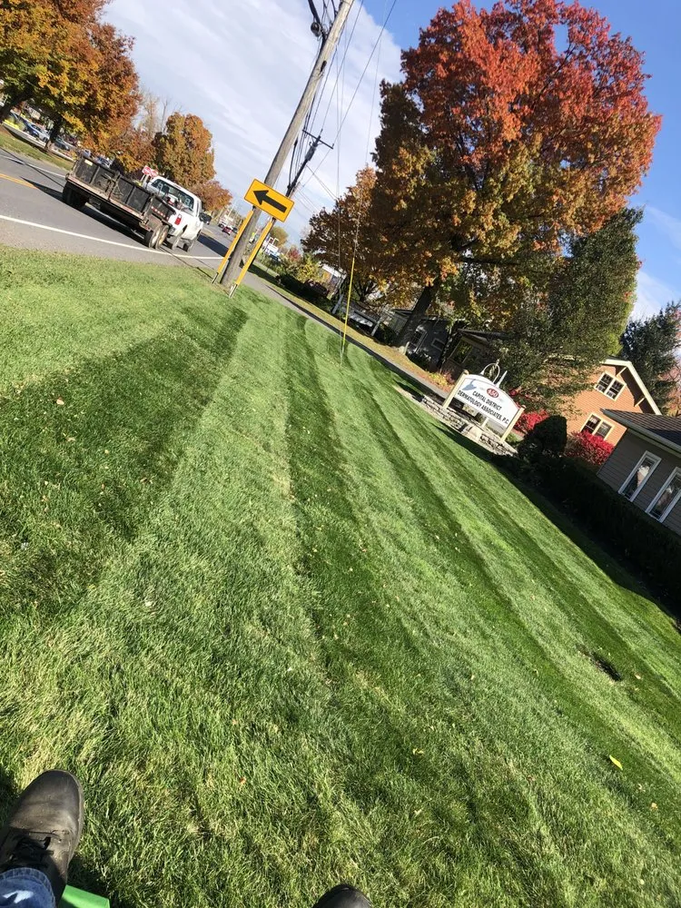 Local lawn care service in Albany, NY - NextGen Landscaping