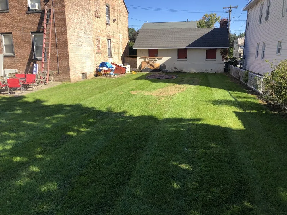 Top-rated landscaping services in Albany, NY by NextGen Landscaping