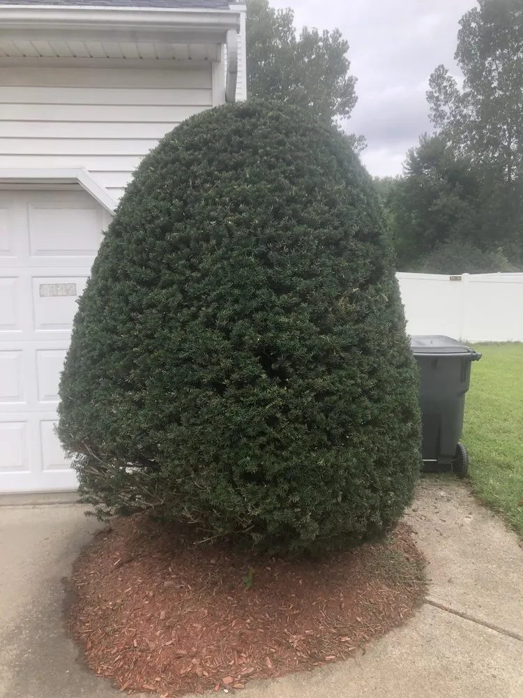 Custom lawn mowing service in Albany, NY - NextGen Landscaping